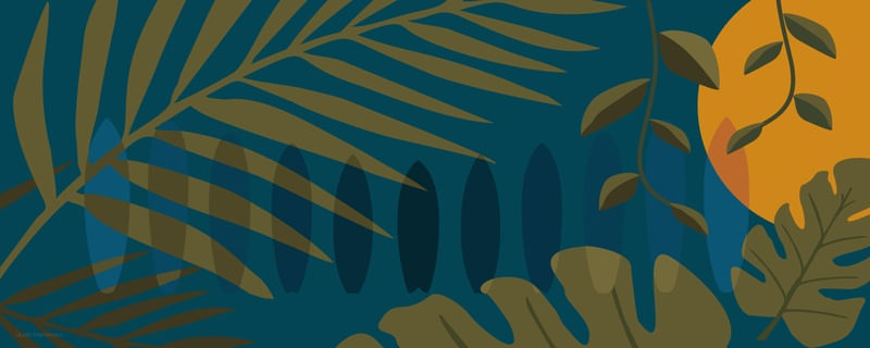 BOTANICOOL SURFBOARDS