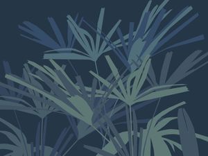 JARDIM DE RHAPIS AZUL I