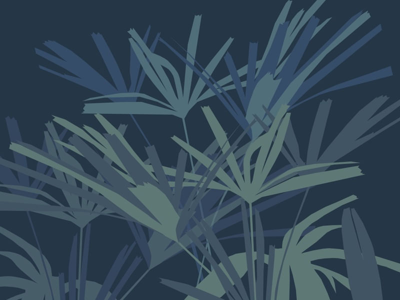 JARDIM DE RHAPIS AZUL I