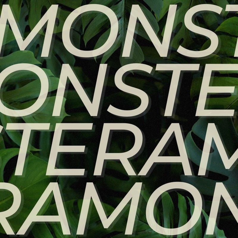 MONSTERA-JO4-02