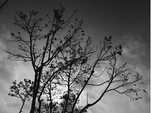 CONTRA O CÉU 03