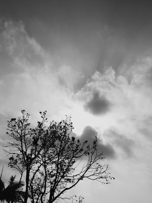 CONTRA O CÉU 04