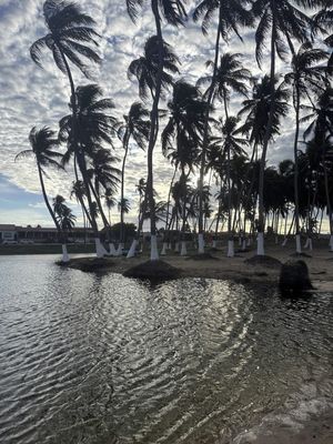 CENÁRIOS NATURAIS DE NATAL-RN 15