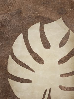 COSTELA DE ADÃO TERRACOTA