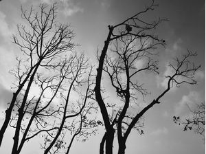CONTRA O CÉU 05