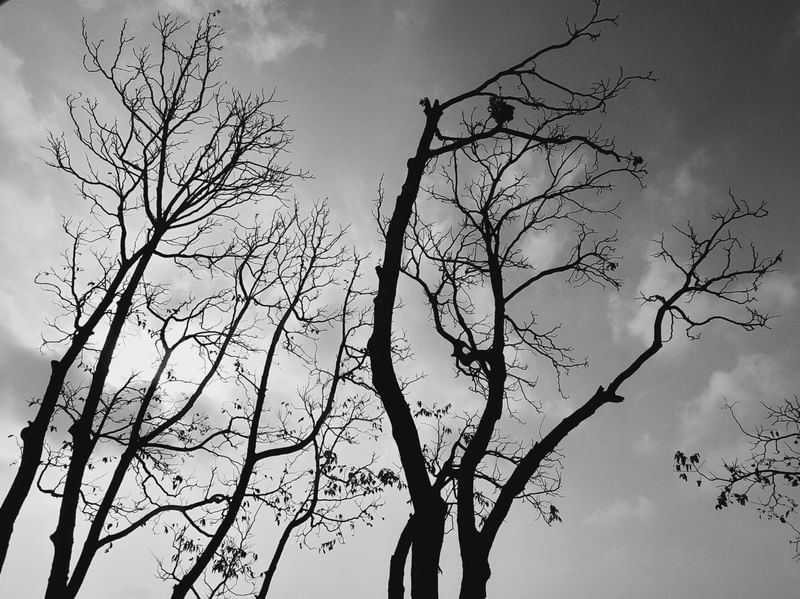 CONTRA O CÉU 05