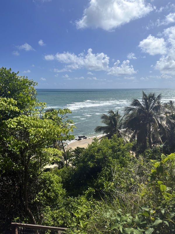 CENÁRIOS NATURAIS DE NATAL-RN 26