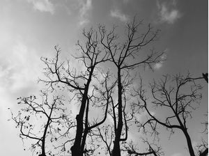 CONTRA O CÉU 06