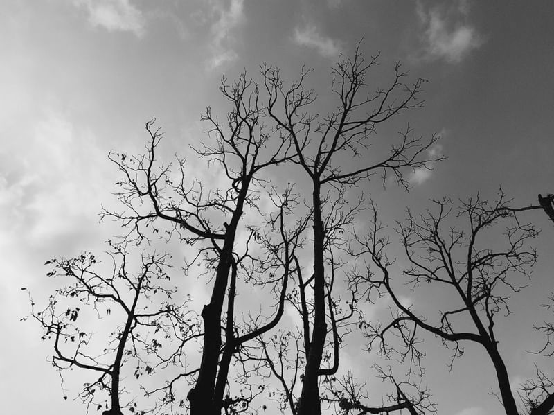 CONTRA O CÉU 06