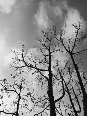 CONTRA O CÉU 08