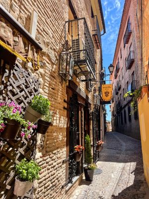 TOLEDO IDAS
