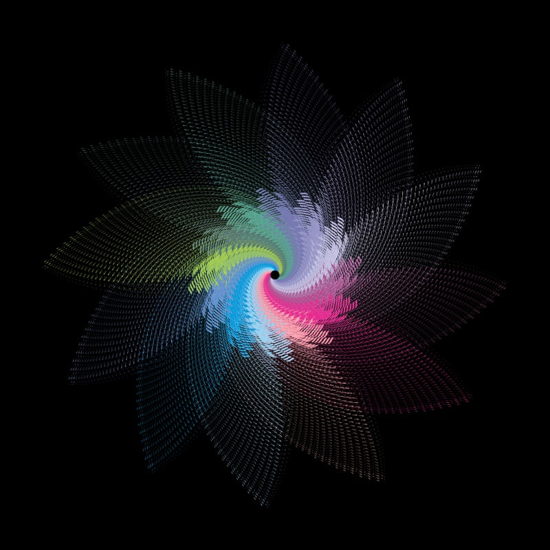 COLOUR FLOWER 4