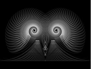 CRAZY OWL