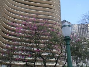 CIDADE - BELO HORIZONTE - PRAÇA DA LIBERDADE - FO