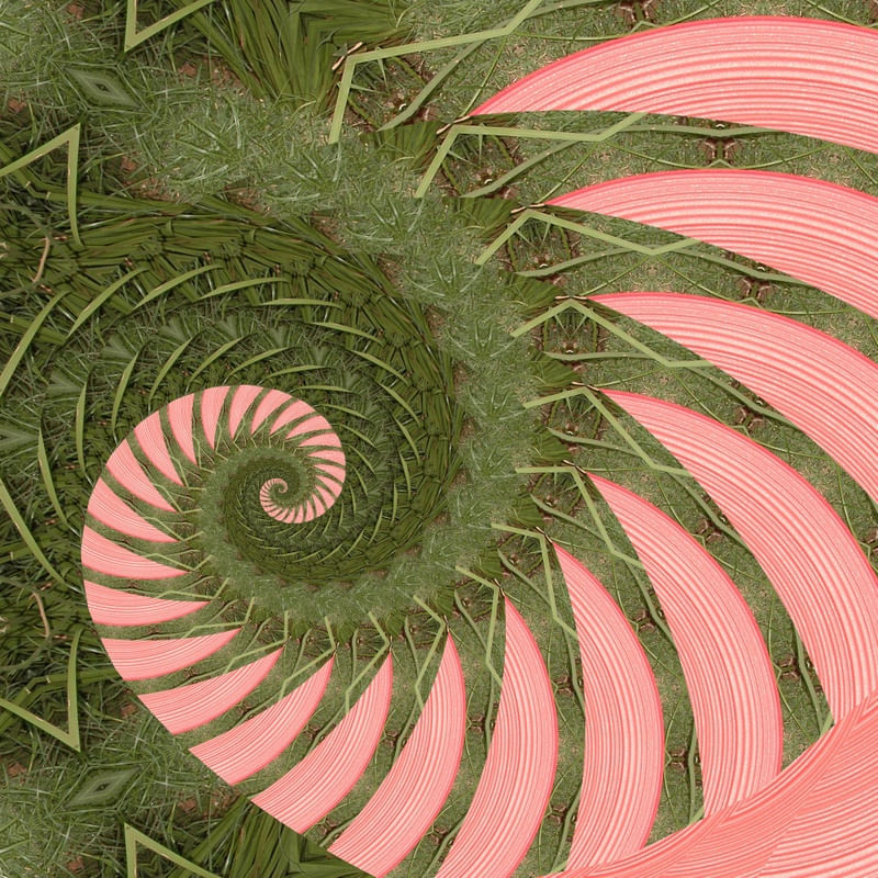 RED SPIRAL