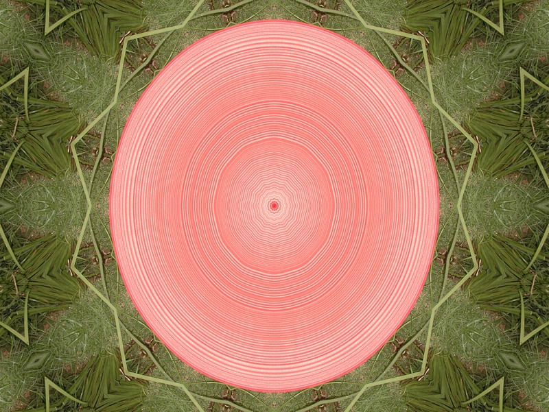 STAR DISC