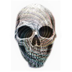 GALAXY SKULL