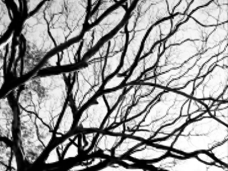 SUPER TREE