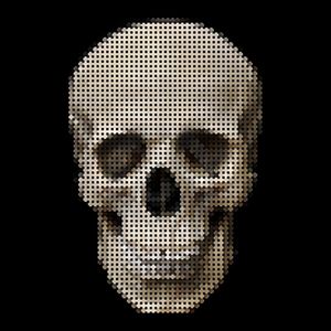 CROSS SKULL