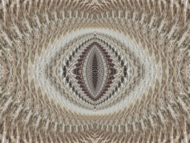 DRAGON EYE