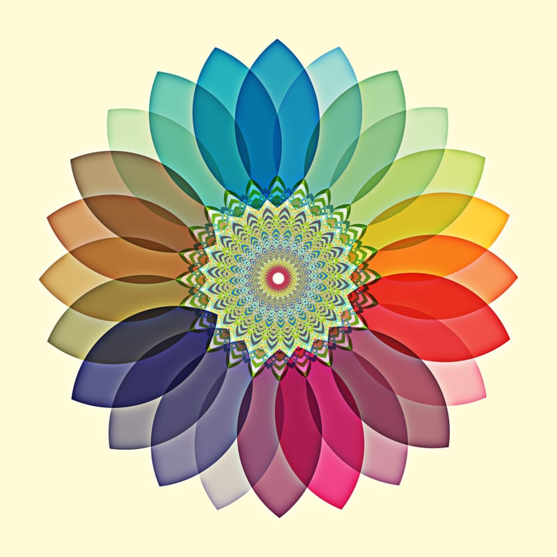FLOR DE MAIO