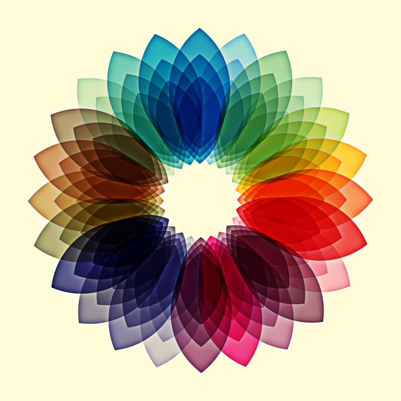 FLOR DE SETEMBRO
