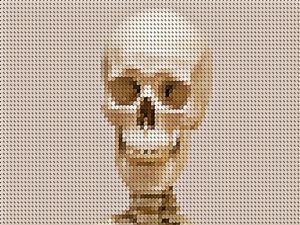 LEAVE SKULL