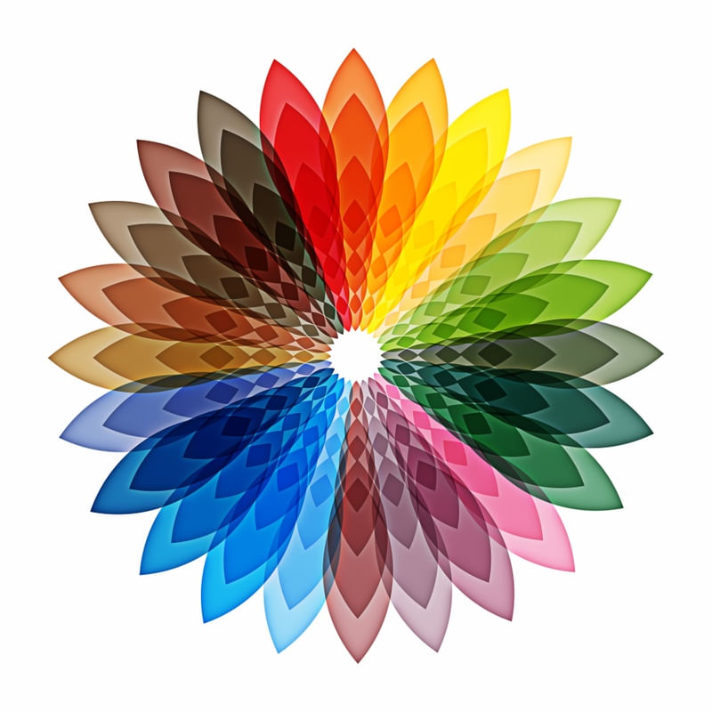 FLOR DE JANEIRO
