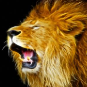 LION III