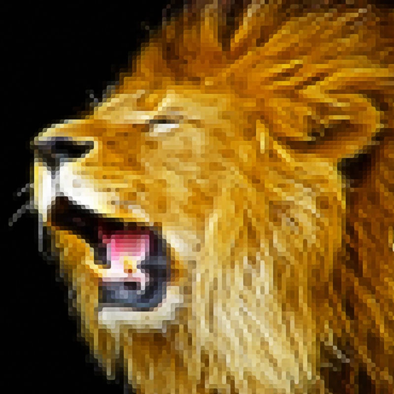 LION III