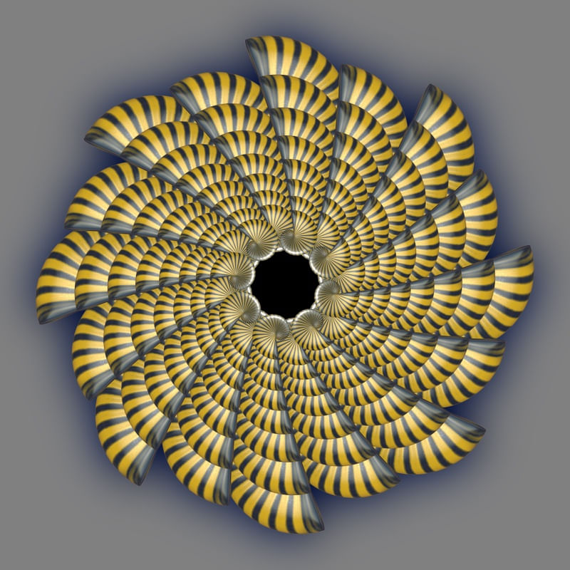 SEA SHELL