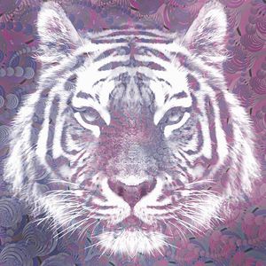 PURPLE TIGER SPIRIT