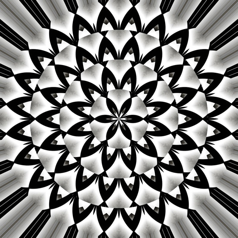 SILVER FLOWER 3