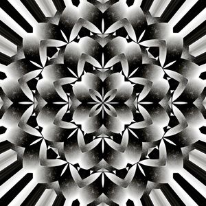 SILVER FLOWER 1