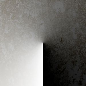 DARK OR LIGHT