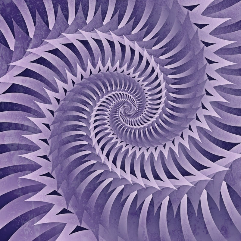 CHAMA A VIOLETA