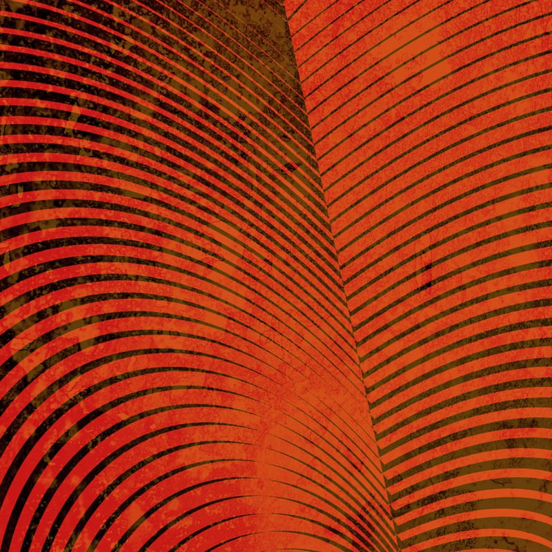NAUTILUS HOT