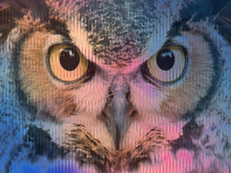 PINK AND BLUE OWL