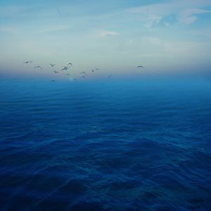 BLUE OCEAN II