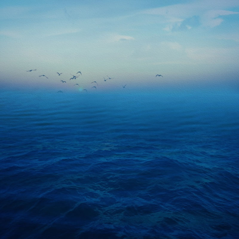 BLUE OCEAN II