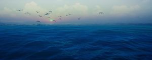 BLUE OCEAN III