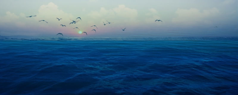 BLUE OCEAN III