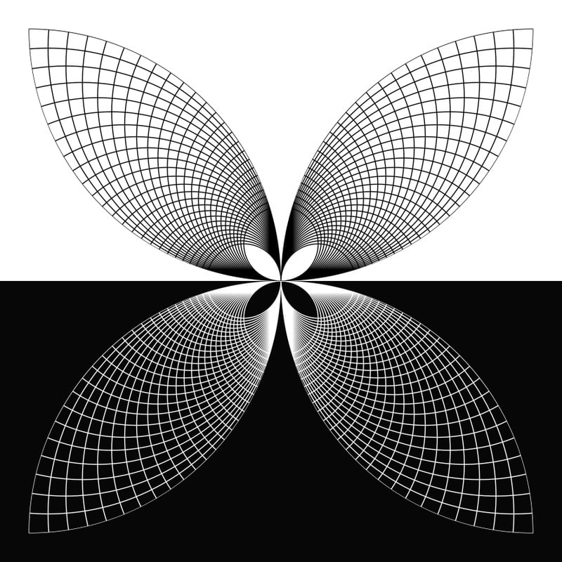GEOMETRIC FLOWER X