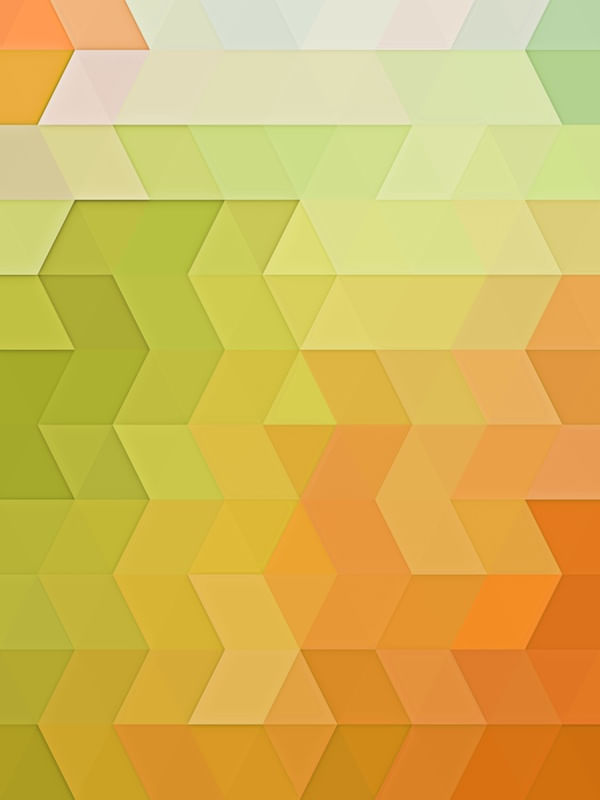 CORES DO VERÃO 2