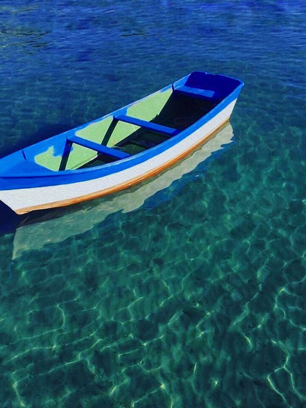 SPECIAL BOAT