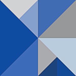 TOTAL BLUE