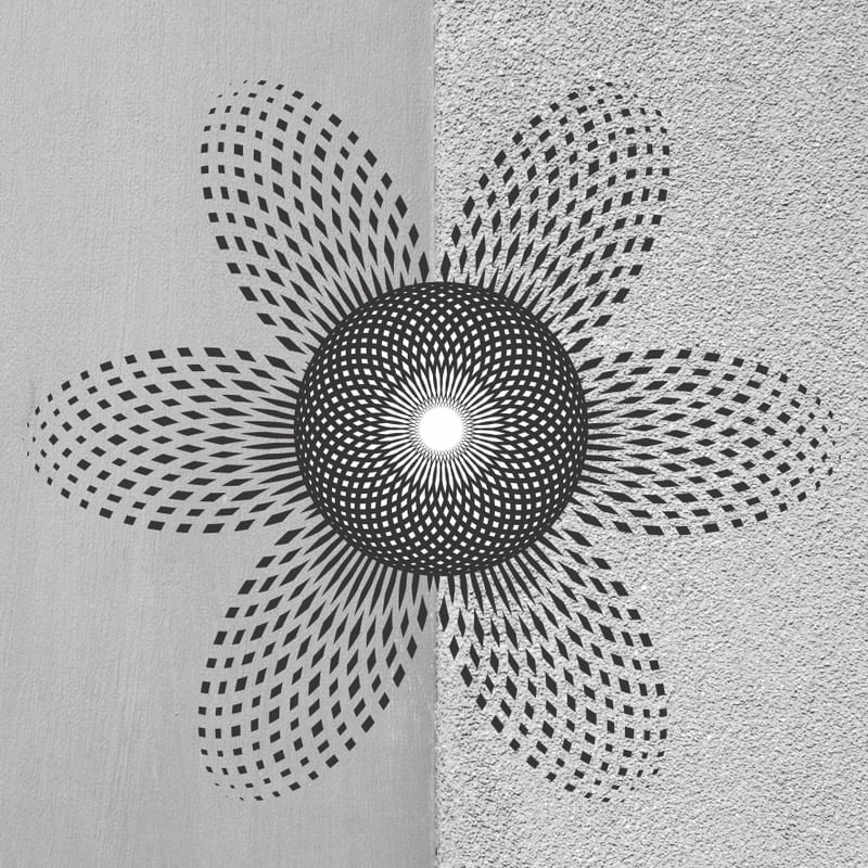 SATURDAY FLOWER