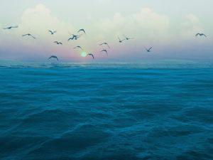 BLUE OCEAN IV