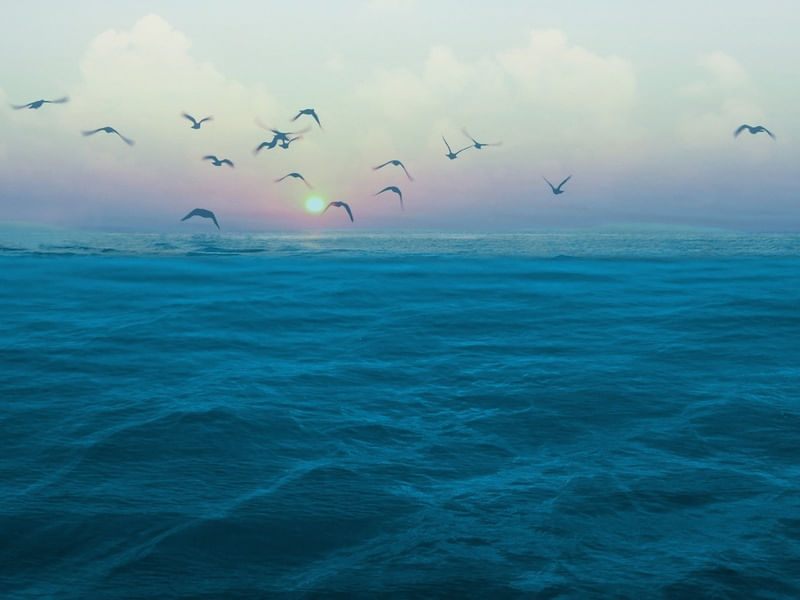 BLUE OCEAN IV