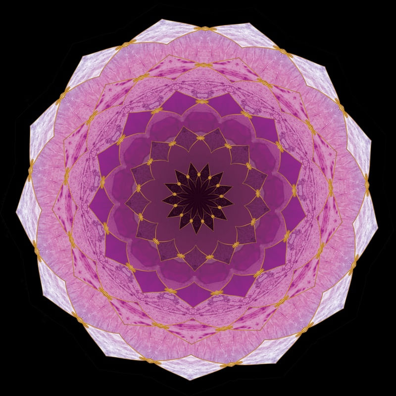 MANDALA ROSA 7